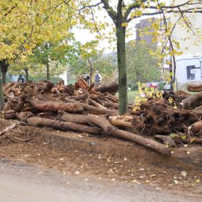 dopo  l'alluvione a Bonascola 