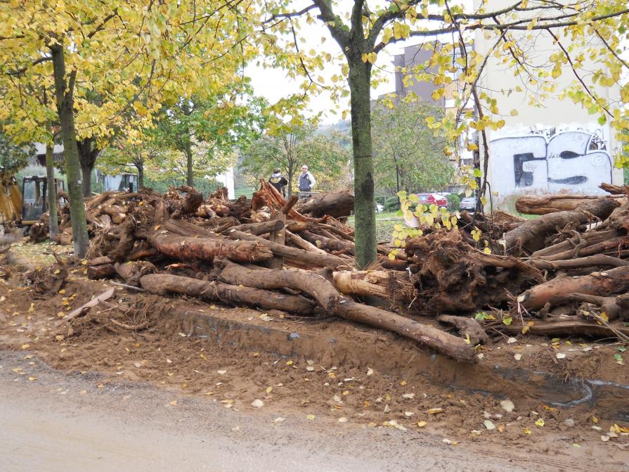 dopo  l'alluvione a Bonascola 