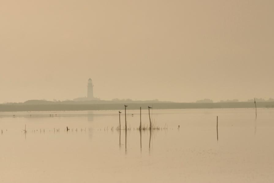 Faro di Delta