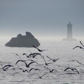 North-Sea Cliché with Light House