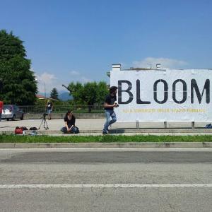 Bloom2