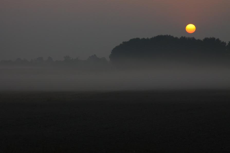 ALBA E NEBBIA