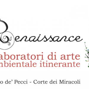 ReNAISSANCE,laboratori d'arte ambientale itinerante