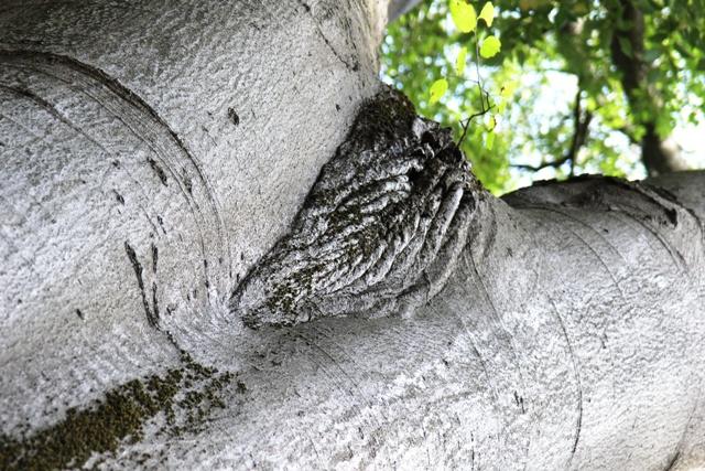 Verso il tempio