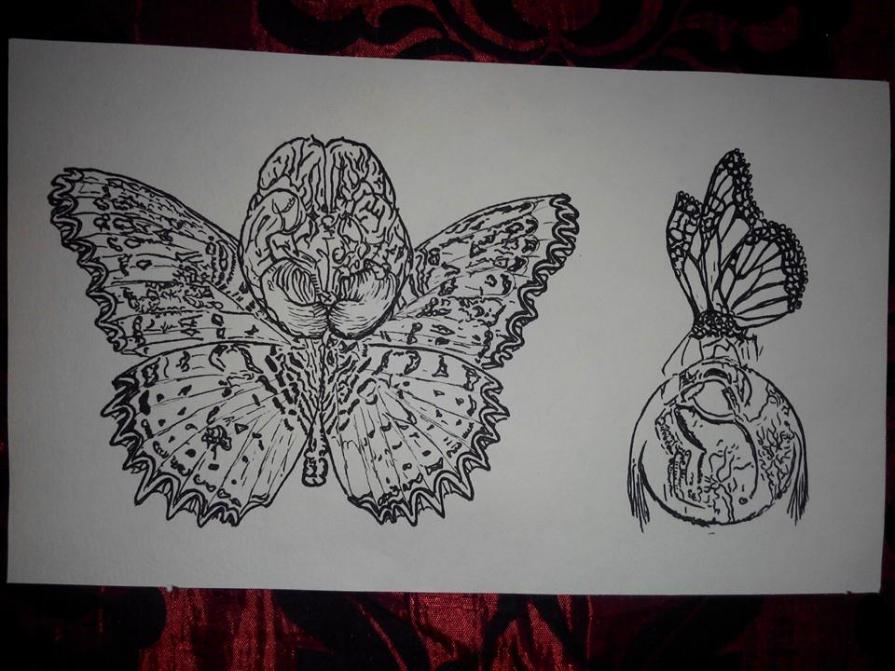 BUTTERFLY