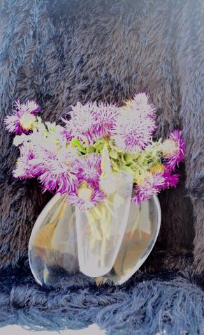 Thistles in a vase 3