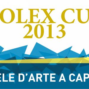 CAPRI: SAILS ARTIST for the Rolex Cup 2013