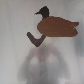 Duck in water