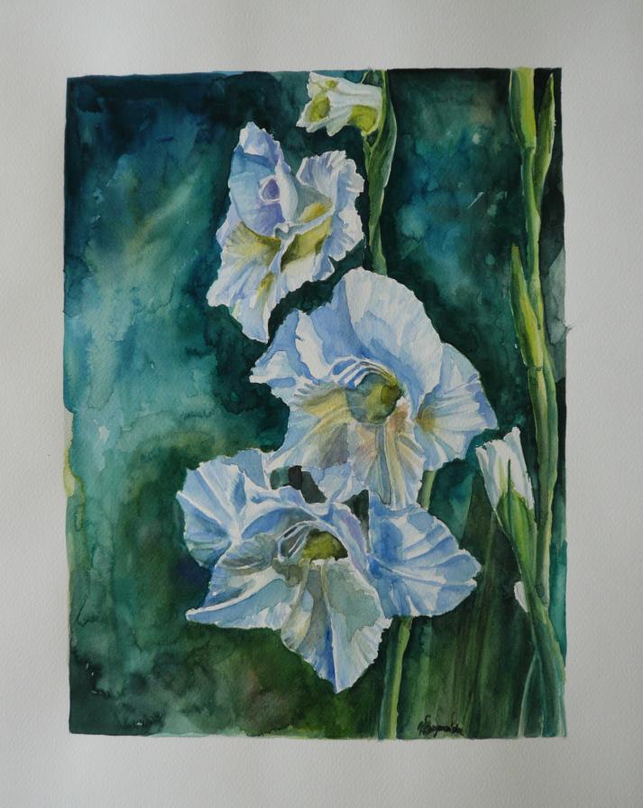 GLADIOLA