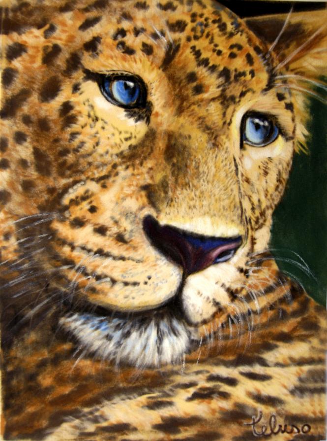 Leopardo "CELESTE"