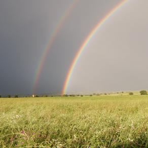 Un arcobaleno per tutti