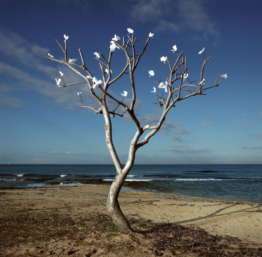 l'albero degli uccelli