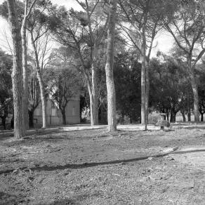 Il vento quieto del mattino / The Quiet Morning Breeze