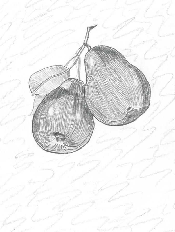 Pears