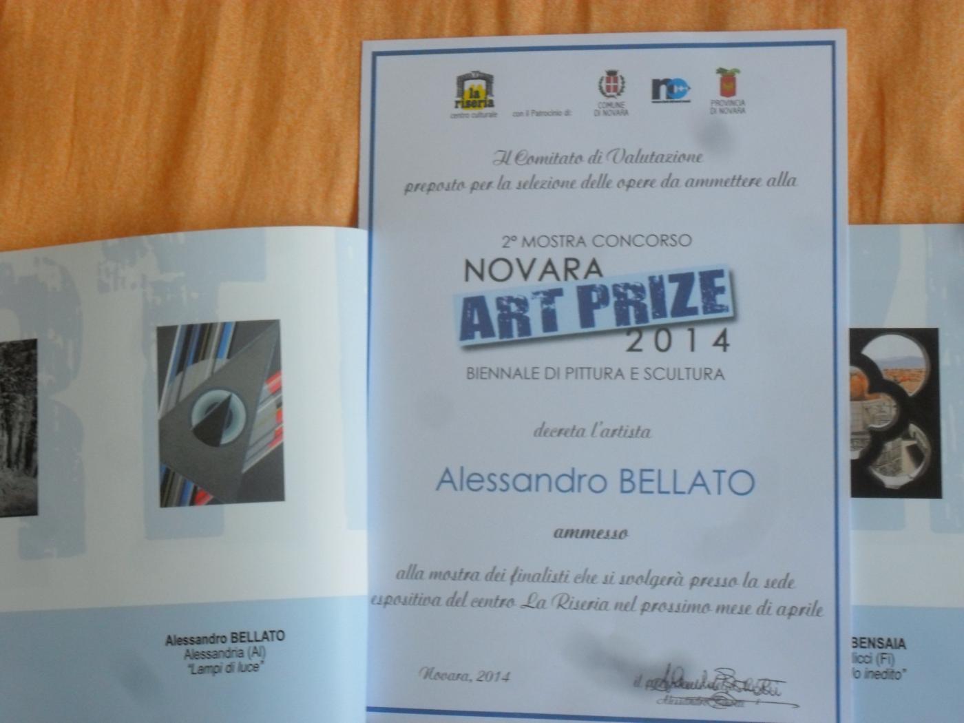 NOVARA ART PRICE 2014   II^ MOSTRA CONCORSO BIENNALE DI PITTURA E SCULTURA - Lampi di luci