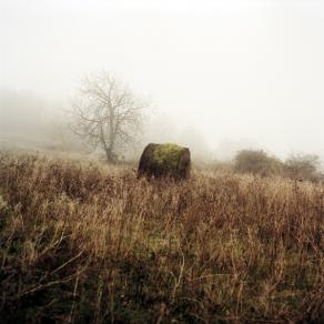 Abandoned Field, L'Aquila.