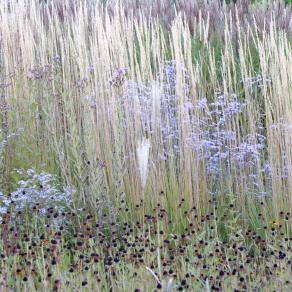 goldney's garden