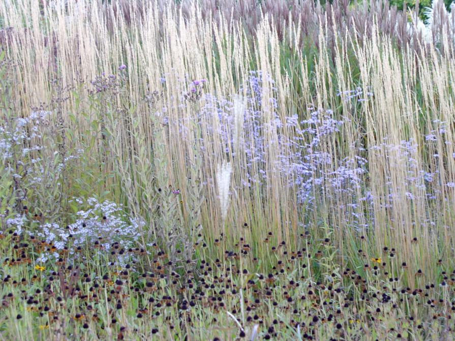 goldney's garden