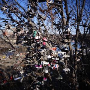 Shoe tree