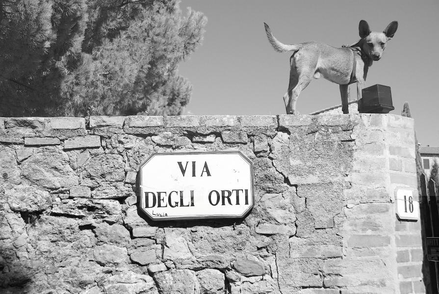 Via degli orti