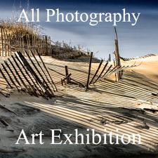 All Photography Online Art Exhibition Results Now Posted and Ready to View