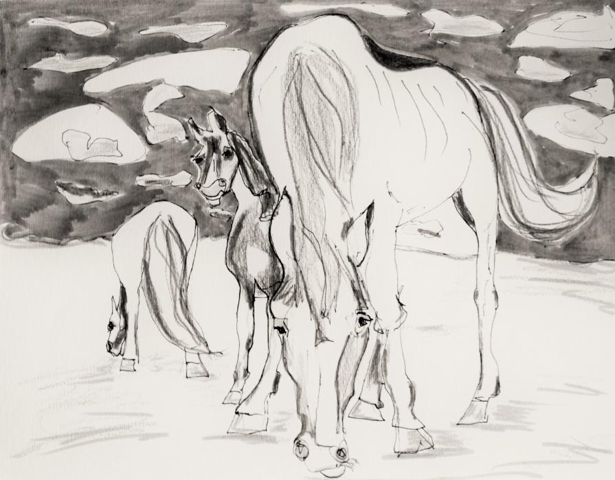 Horses out there. by Fritzsch Anneliese