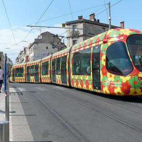 Le tram en fleurs