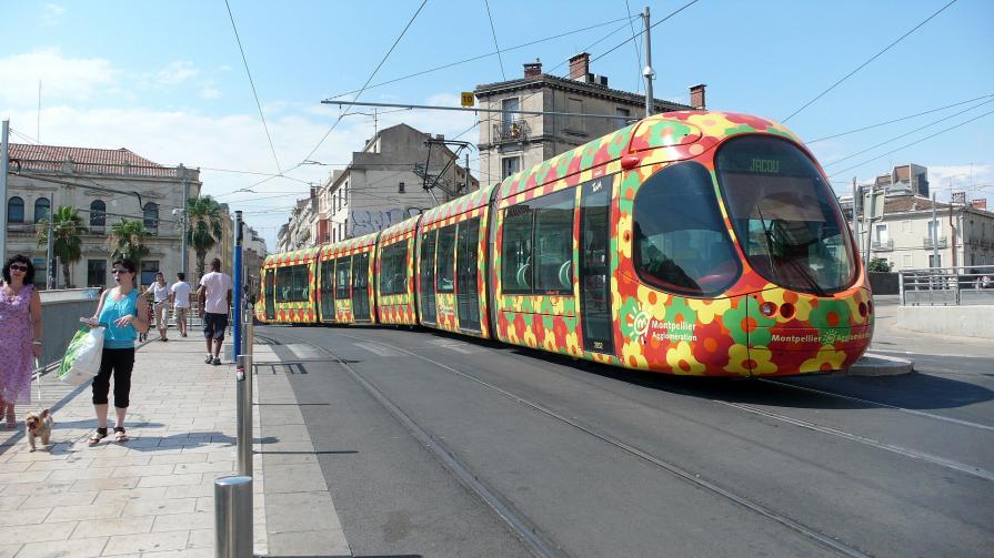 Le tram en fleurs