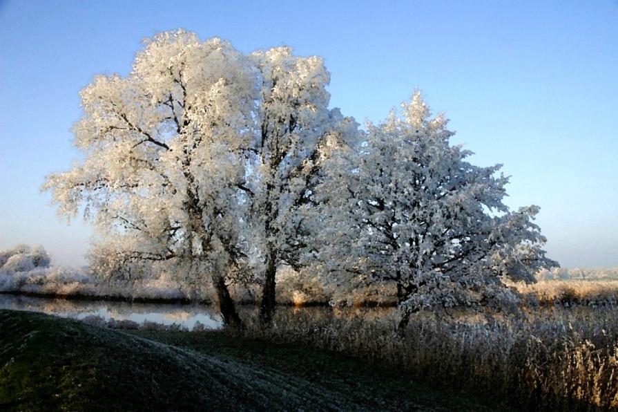 Morgenfrost 2