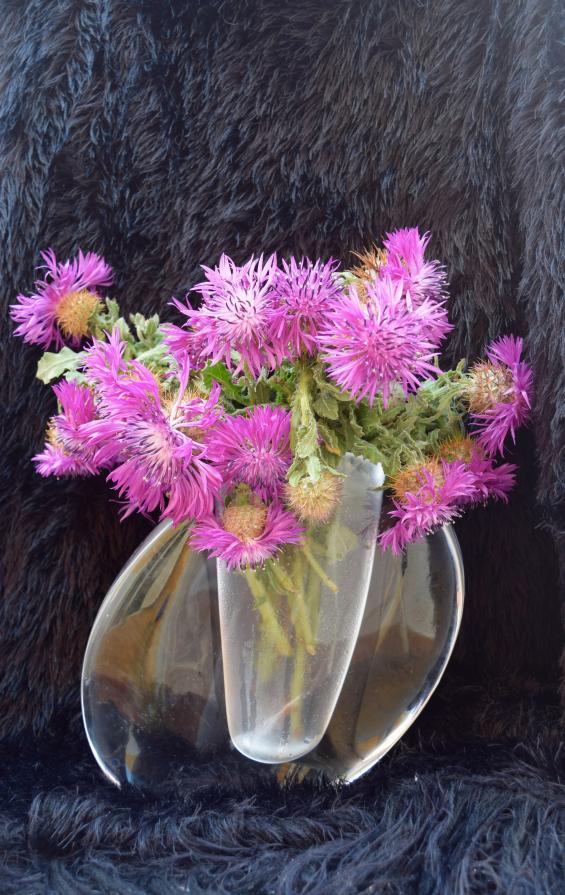 Thistles in a vase 2