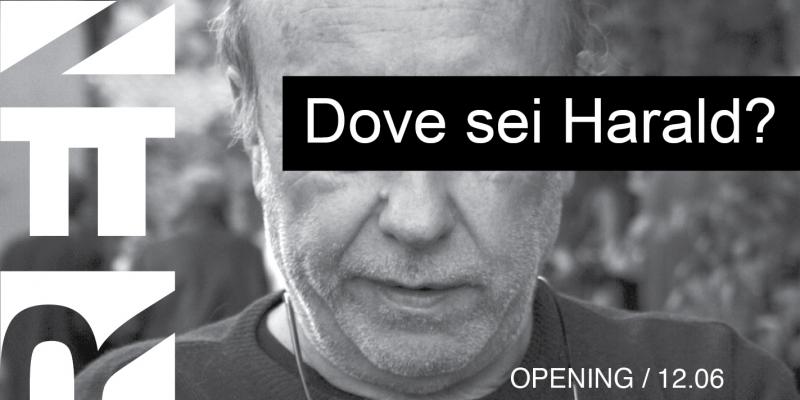 DOVE SEI HARALD? SARENCO solo show