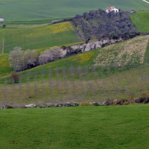 Italy. Basilicata & Campania. Dropouts and rediscovered