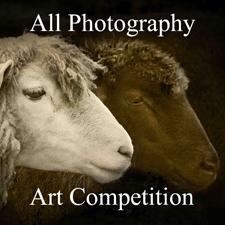 Call for Entries – All Photography Online Art Competition