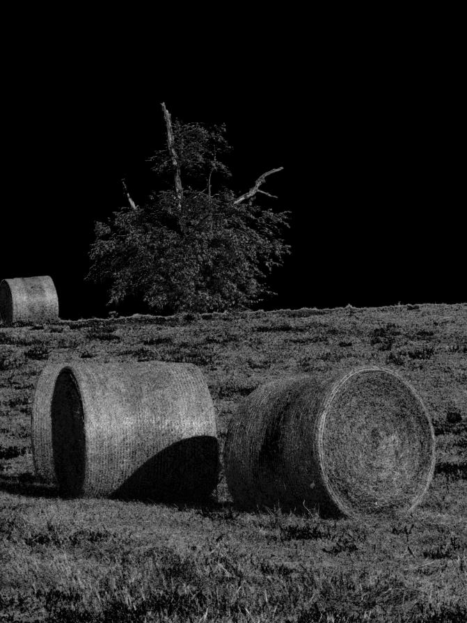 Hay-making