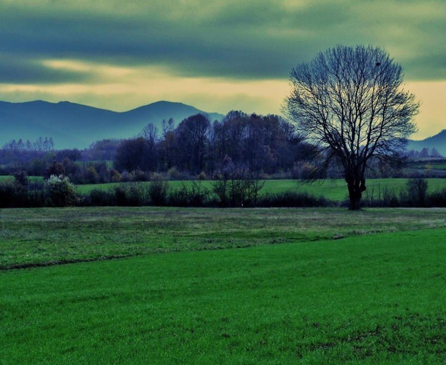 Landscape,old castles,portrait. 