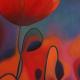 La gratitudine (Night of poppies)