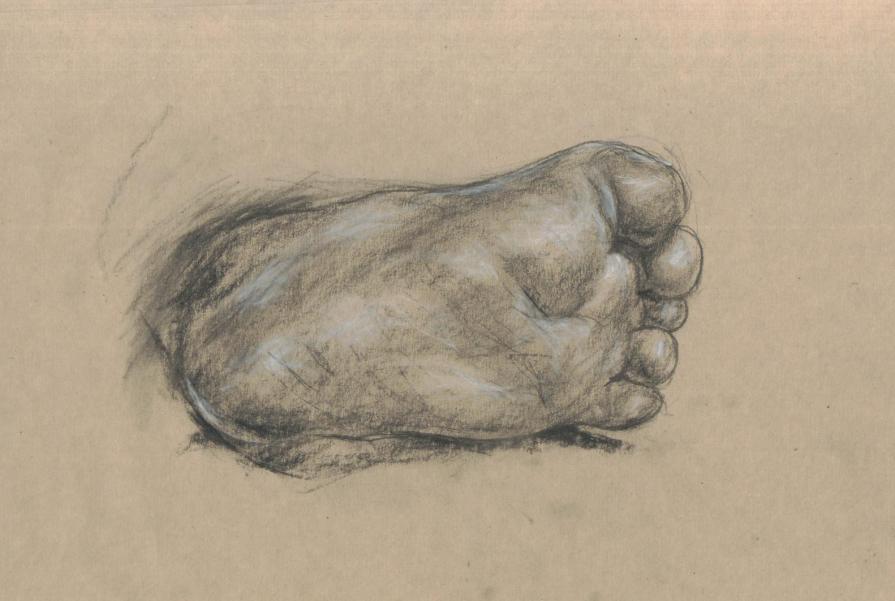 foot of baby