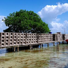 Nasse da pesca Belize