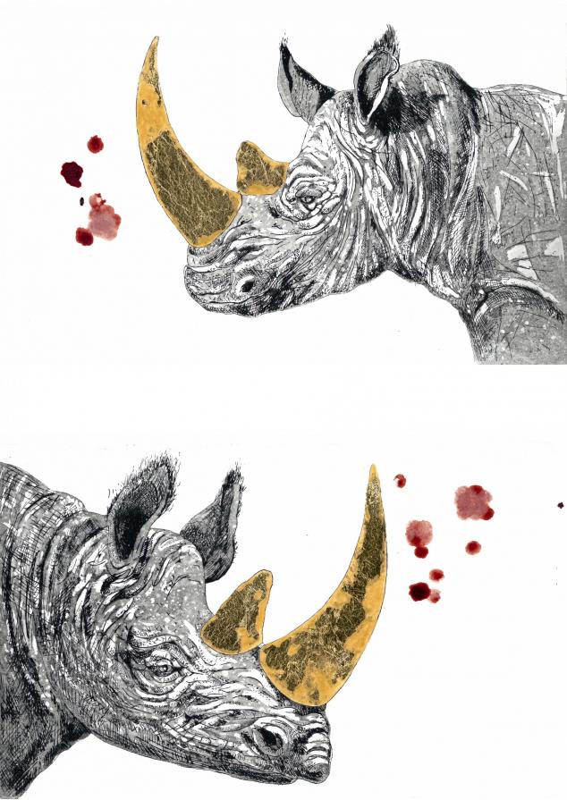 Rhinos and blood