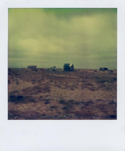 Dungeness