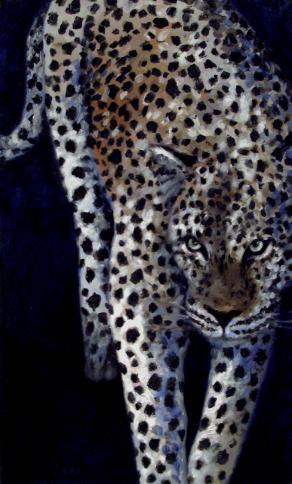 leopardo blu