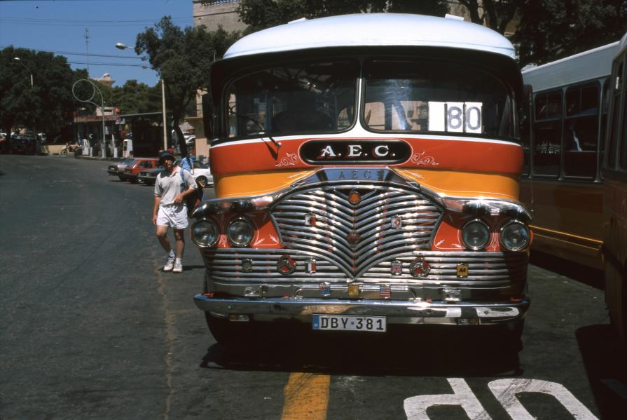 Il bus è mio.....(the bus is my ......)