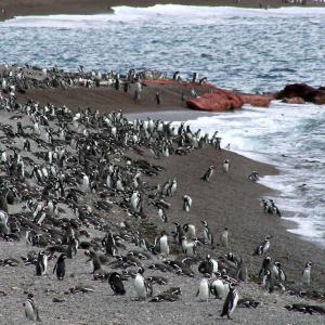 Argentina, Patagonia