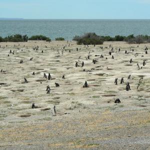 Argentina, Patagonia