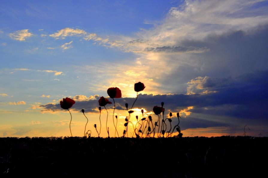 Sunset in Ukraine in May