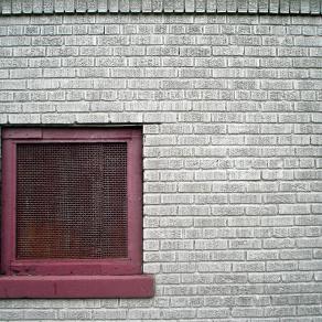 mesh window