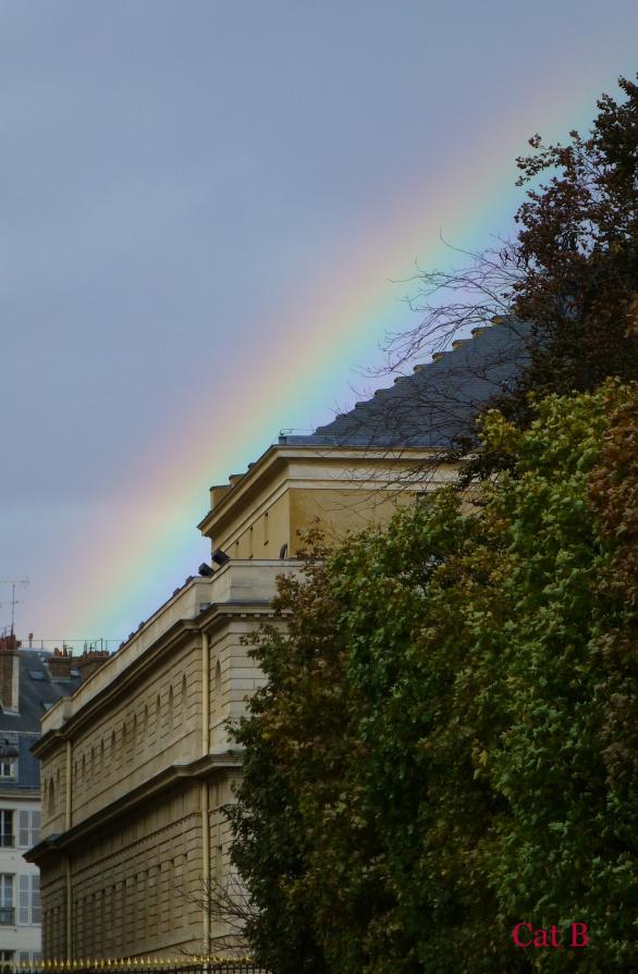 Après la pluie...