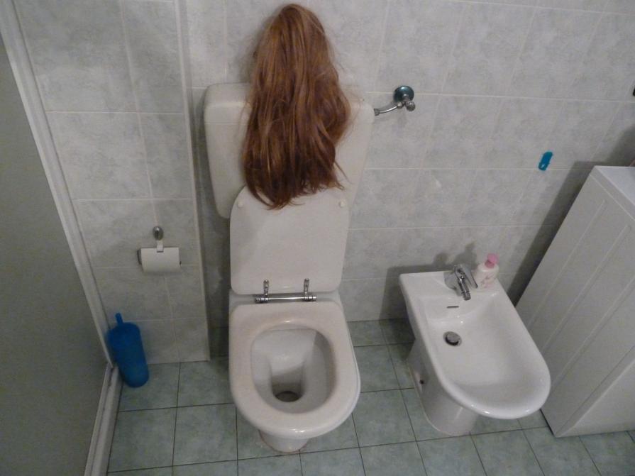 MISS TOILET