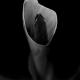 Calla Lily 