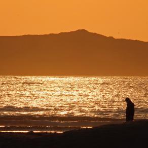 Golden meditations